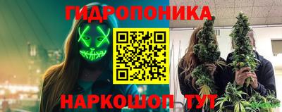 стаф Бузулук