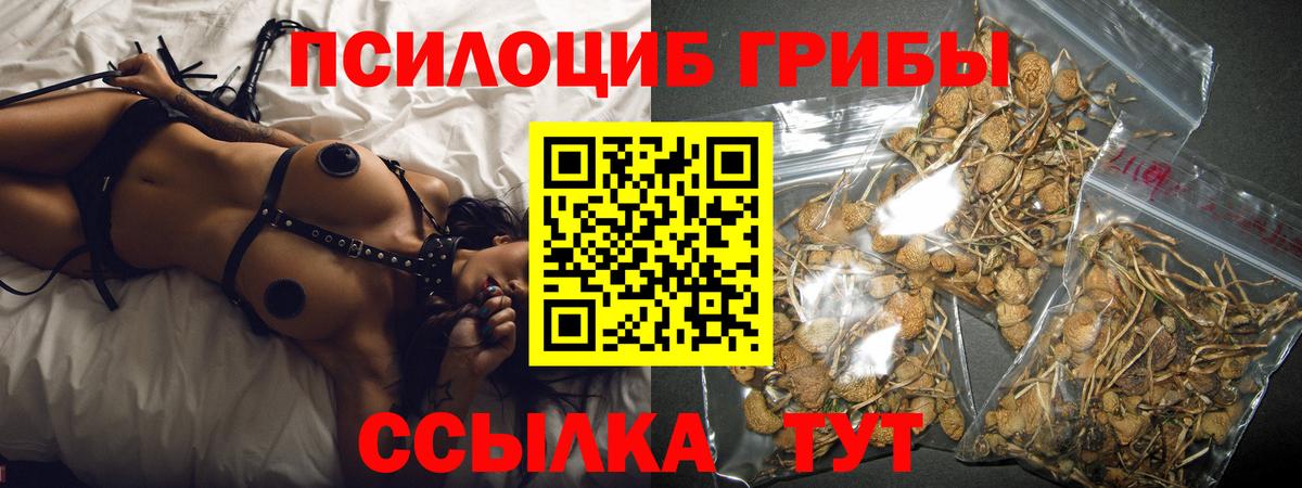 Галлюциногенные грибы Magic Shrooms Саратов
