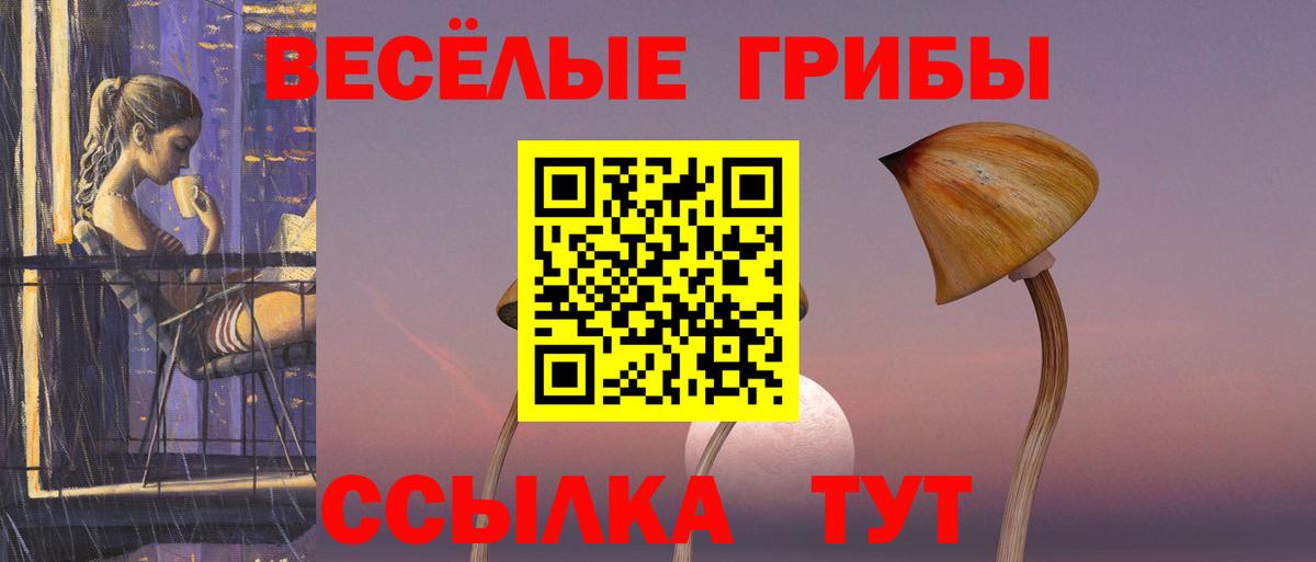 Псилоцибиновые грибы GOLDEN TEACHER  купить закладку  Псилоцибиновые грибы мицелий  Саратов  Вход с VPN 