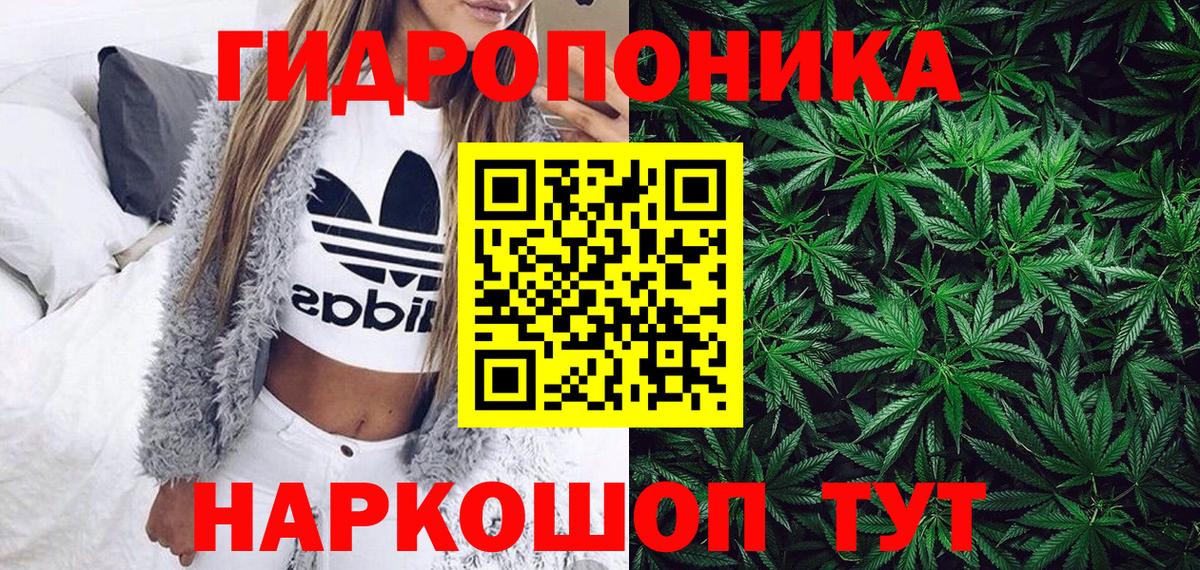 Каннабис White Widow  Вход с VPN  Саратов  Канабис White Widow  МАРИХУАНА Bruce Banner  Бошки марихуана марихуана 